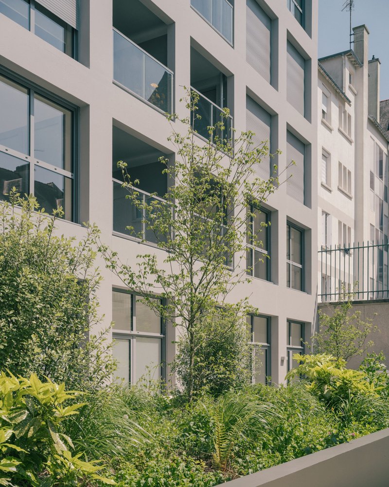 19 Collective Housing Units