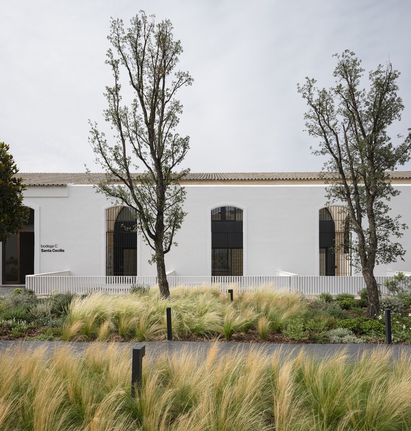 De la Riva Sherry Homes / Juan Vega Arquitectos - Exterior Photography